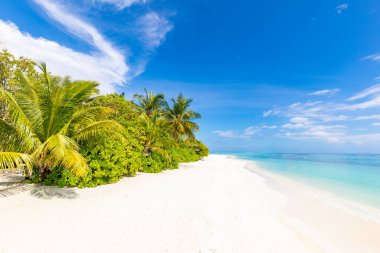 İnanılmaz doğa kumsalı, palmiye ağaçları ve karamsar gökyüzü. Sakin yaz tatili tatil geçmişi kavramı. Ada tatil köyü cennet plajı. Lüks seyahat yaz tatili arka plan afişi