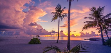 Gün batımında güzel tropikal plaj. Seyahat kavramı