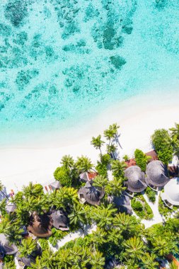 İnanılmaz doğa kumsalı, palmiye ağaçları ve karamsar gökyüzü. Sakin yaz tatili tatil geçmişi kavramı. Ada tatil köyü cennet plajı. Lüks seyahat yaz tatili arka plan afişi