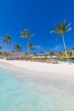 Palmiye ağaçları ve mavi gökyüzü olan güzel tropikal plaj