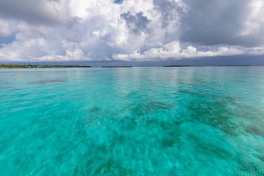 Mavi gölü ve turkuaz suyu olan güzel tropik plaj. 