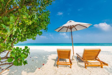 Tropikal plaj doğası yaz manzarası gibi şezlonglar, palmiye ağaçları ve plaj pankartları için sakin denizler. Lüks seyahat manzarası, tatil ya da tatil için güzel bir yer. Plaj sahnesi