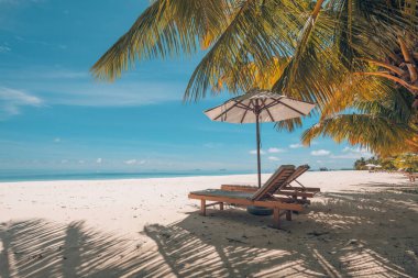 Güzel tropik ada manzarası, iki güneş yatağı, dinlenme yerleri, palmiye ağacının altındaki şemsiye. Beyaz kum, ufukta deniz manzarası, masmavi gökyüzü, sakinlik ve rahatlama. İlham verici sahil oteli