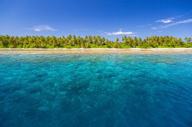 Lüks tatil köyü plajı. Yolculuk için harika bir seyahat yeri manzarası. Beyaz kum üzerinde palmiye ağaçları. Tropik ada cenneti, tatil turizmi, deniz manzarası