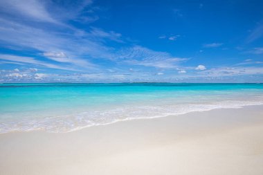 Güzel tropikal plaj. Seyahat kavramı