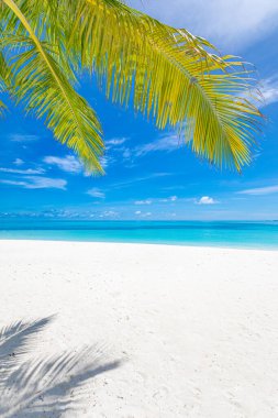 Güzel tropik plaj ve deniz. Tatil kavramı