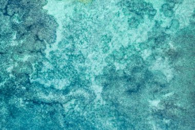 Metin için alanı olan soyut deniz parkı