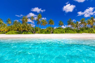 Lüks tatil köyü plajı. Yolculuk için harika bir seyahat yeri manzarası. Beyaz kum üzerinde palmiye ağaçları. Tropik ada cenneti, tatil turizmi, deniz manzarası
