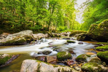 Alp dağlarının derinliklerinde küçük bir nehir. Güzel su akışı ve güneşli renkli doğa manzarası. İnanılmaz huzurlu ve rahatlatıcı dağ manzarası, bahar macerası seyahati