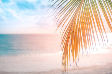 Gün batımında güzel tropikal plaj. Seyahat kavramı