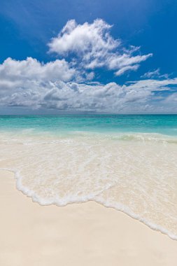 Güzel tropik plaj ve deniz. Tatil kavramı