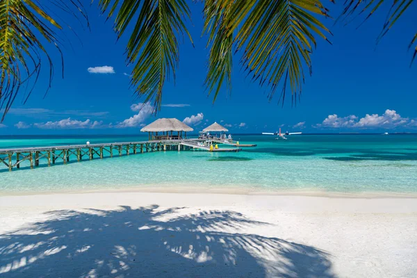 Mooi Luxe Resort Tropisch Strand Met Uitzicht Zee — Stockfoto
