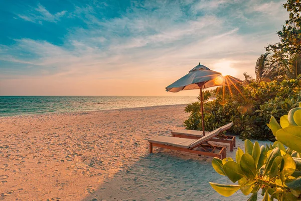 Tropische Strand Natuur Als Zomer Landschap Met Ligstoelen Palmbomen Kalme — Stockfoto