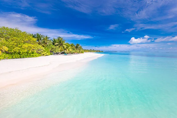 Incroyable Plage Sable Naturel Avec Des Palmiers Ciel Humide Tranquille — Photo