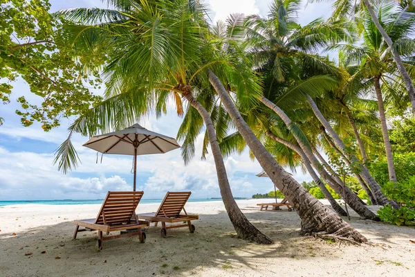 Rustige Strandscène Exotisch Tropisch Strandlandschap Voor Achtergrond Behang Ontwerp Van — Stockfoto