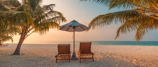 热带海滩作为夏季景观 有躺椅和棕榈树 平静的大海作为海滩横幅 奢华的旅游风景 美丽的度假或度假目的地 海滩场景 — 图库照片