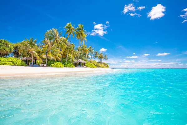 Luxus Resort Strand Wunderschönes Fernweh Reiseziel Landschaftlich Palmen Über Weißem — Stockfoto
