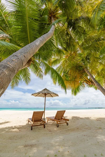 Ruhige Strandlandschaft Exotische Tropische Strandlandschaft Als Hintergrund Oder Tapete Gestaltung — Stockfoto