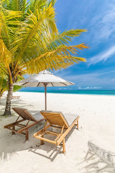 熱帯の島に傘と椅子がある美しいビーチ — ストック写真