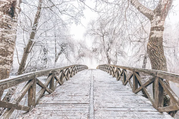 Koude Winterdag Uitzicht Houten Brug Het Bos Met Rietvorst Bomen — Stockfoto