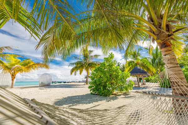 Hermosa Playa Tropical Con Hamaca Concepto Viaje —  Fotos de Stock