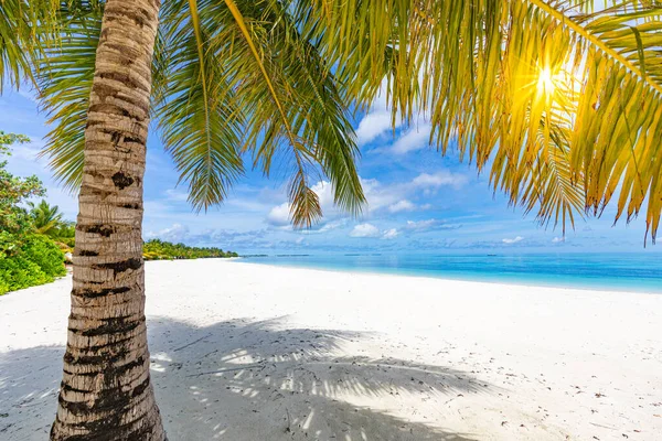 Beautiful Tropical Beach Travel Concept – stockfoto