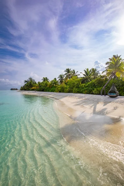 Beautiful Tropical Beach Palm Trees — Stock Photo, Image