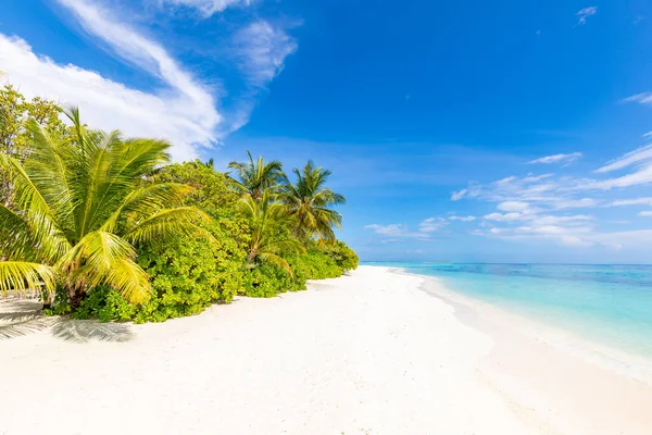 Incredibile Spiaggia Sabbia Natura Con Palme Cielo Lunatico Tranquillo Vacanze — Foto Stock