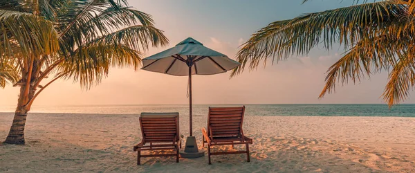 Tropische Strand Natuur Als Zomer Landschap Met Ligstoelen Palmbomen Kalme — Stockfoto