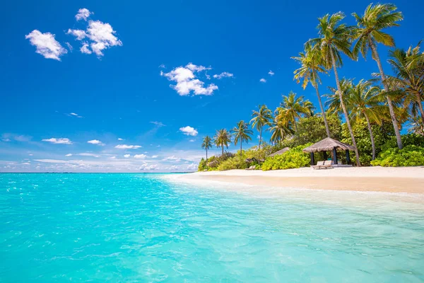Роскошный Курортный Пляж Чудесное Место Путешествий Пальмы Над Белым Песком — стоковое фото