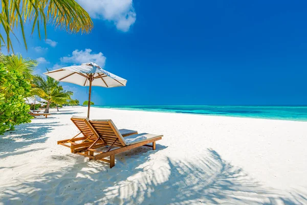 Tropisk Strandnatur Som Sommerlandskap Med Stol Palmetrær Rolig Sjø Strandbanner – stockfoto