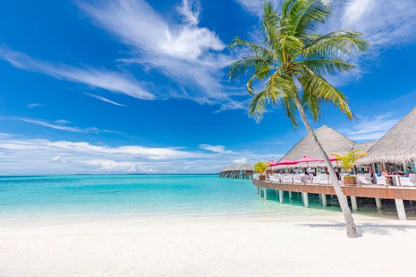 Bellissimo Resort Lusso Sulla Spiaggia Tropicale Con Vista Mare — Foto Stock