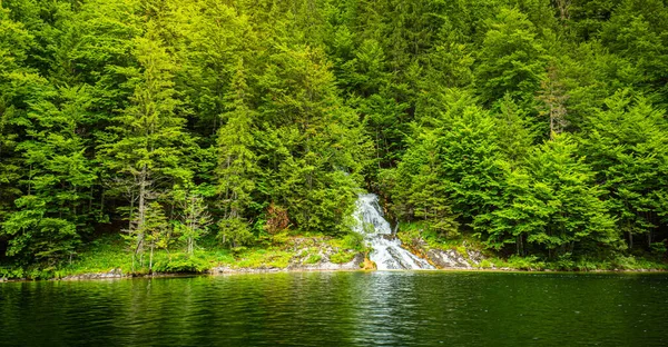 Erstaunliche Sommerliche Berglandschaft See Mit Flusslauf Und Grünem Kiefernwald Schöne — Stockfoto