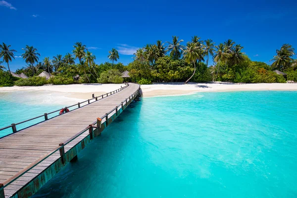 Bela Praia Tropical Com Palmeiras Céu Azul — Fotografia de Stock