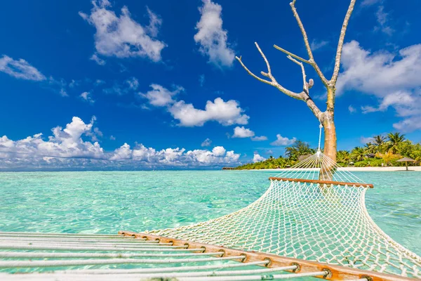 Piękna Tropikalna Plaża Drzewem Hamakiem — Zdjęcie stockowe