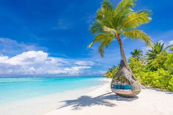 Красивый Тропический Пляж Пальмами Гамаком — стоковое фото