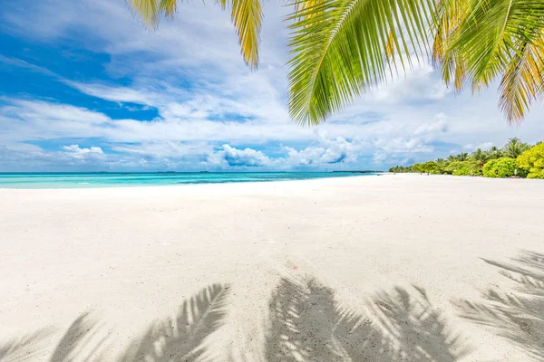 Bella Spiaggia Tropicale Con Palme — Foto Stock