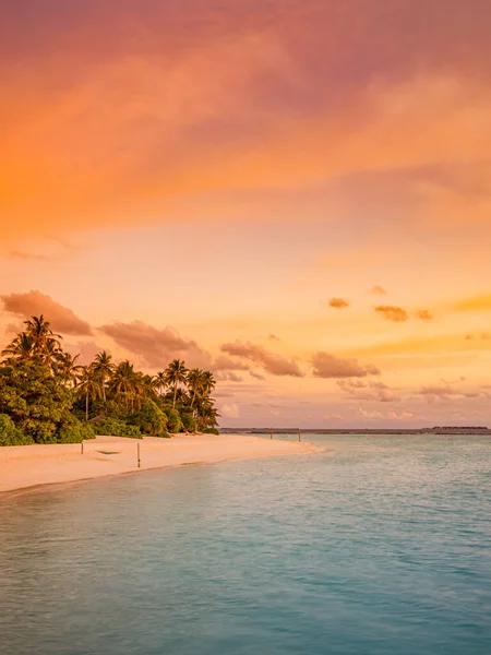 Belle Plage Tropicale Avec Palmiers Ciel Bleu — Photo