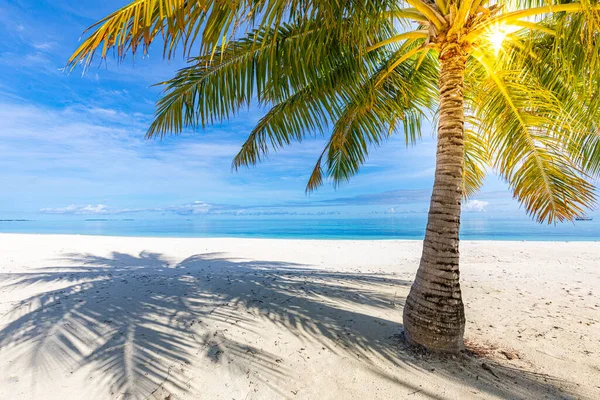 Beautiful Tropical Beach Travel Concept – stockfoto