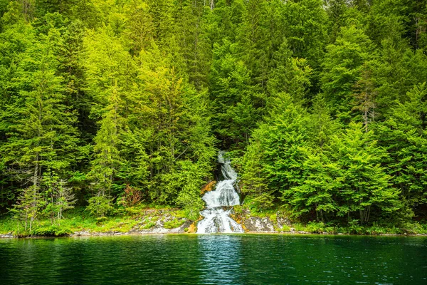 Erstaunliche Sommerliche Berglandschaft See Mit Flusslauf Und Grünem Kiefernwald Schöne — Stockfoto