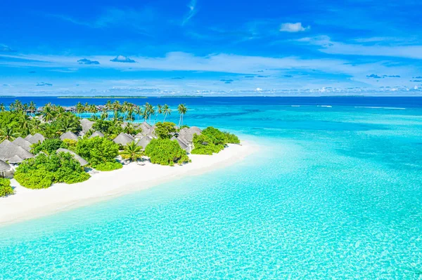 Playa Lujo Maravilloso Viajero Viaje Destino Pintoresco Palmeras Sobre Arena — Foto de Stock