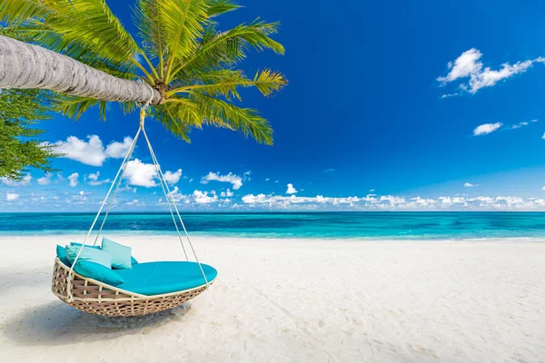 Vacker Tropisk Strand Med Palm Och Hängmatta — Stockfoto