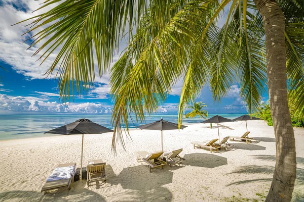 Schöner Strand Mit Sonnenschirmen Und Liegestühlen Auf Der Tropischen Insel — Stockfoto