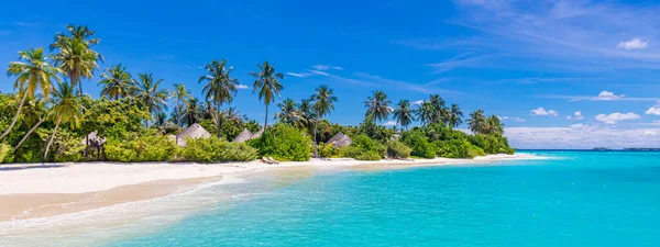 Niesamowita Plaża Przyrodnicza Palmami Wakacyjne Wakacje Podróży Koncepcja Tła Malediwy — Zdjęcie stockowe