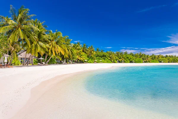 Piękna Tropikalna Plaża Palmami Błękitnym Niebem — Zdjęcie stockowe