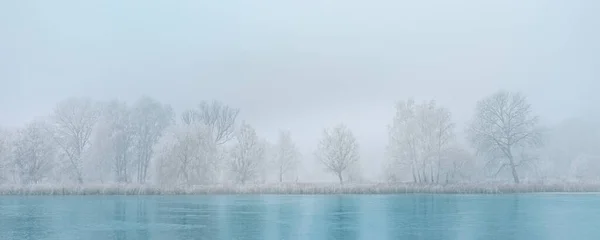 Bevroren Meer Besneeuwd Boslandschap Idyllische Witte Natuur Winterscow Landschap Seizoensgebonden — Stockfoto