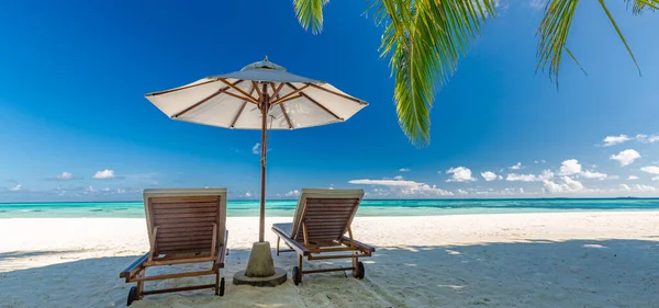 热带海滩自然如夏日风景 有躺椅和棕榈树 奢华的旅游风景 美丽的度假或度假目的地 海滩场景 — 图库照片