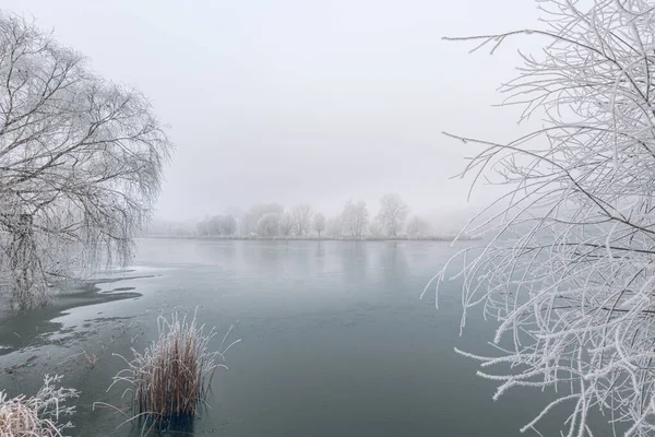 Lac Gelé Dans Paysage Forestier Enneigé Nature Blanche Idyllique Paysage — Photo