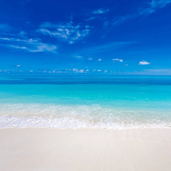 海滩和热带海 迷人的夏季风景 平静的海浪 悠闲的海景地平线笼罩在白沙滩蓝天之上 宁静的自然模式 海滩的概念 旅行假期 复印空间 — 图库照片