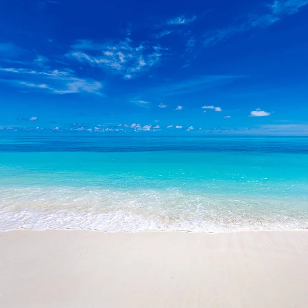 Playa Mar Tropical Impresionante Paisaje Verano Costa Costa Con Olas — Foto de Stock